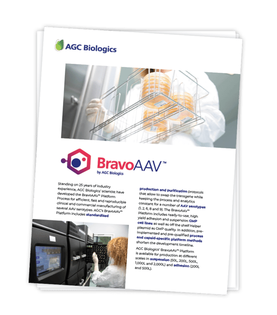 BravoAAV factsheet download graphic
