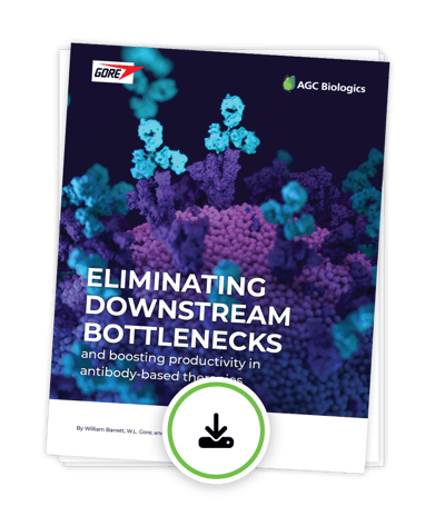 Eliminating Downstream Bottlenecks whitepaper-download-graphic