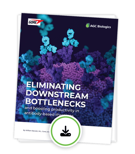 Eliminating Downstream Bottlenecks whitepaper-download-graphic