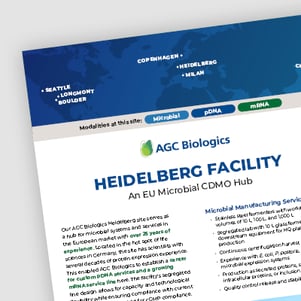 factsheet thumbnail heidelberg