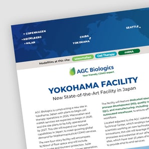 factsheet thumbnail yokohama site