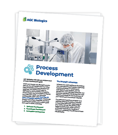 fact sheet process development - download graphic