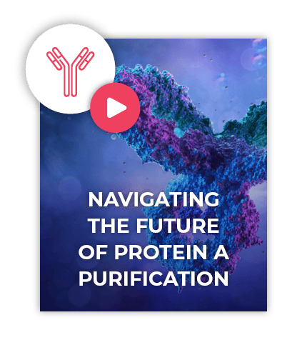 Protein A purificiation webinar thumbnail-1