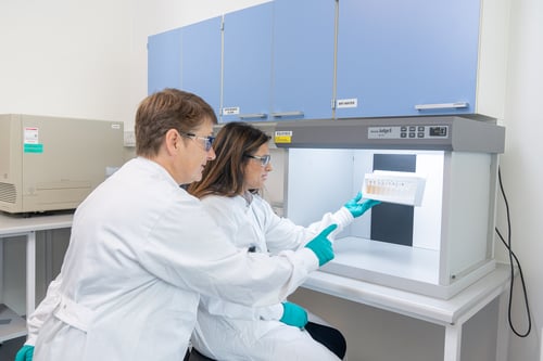 Cell line development