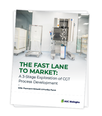 3-stage CGT process development download graphic