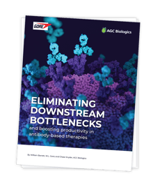 Eliminating Downstream Bottlenecks whitepaper-download-graphic2