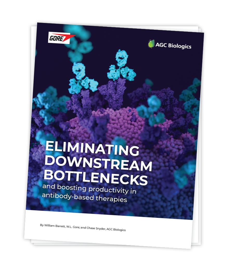 Eliminating Downstream Bottlenecks whitepaper-download-graphic2