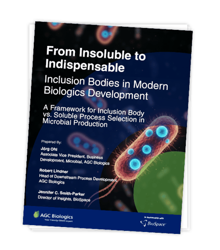 Insoluble to Indispensable white paper - download graphic