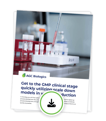 Scale Down Model Blog download graphic