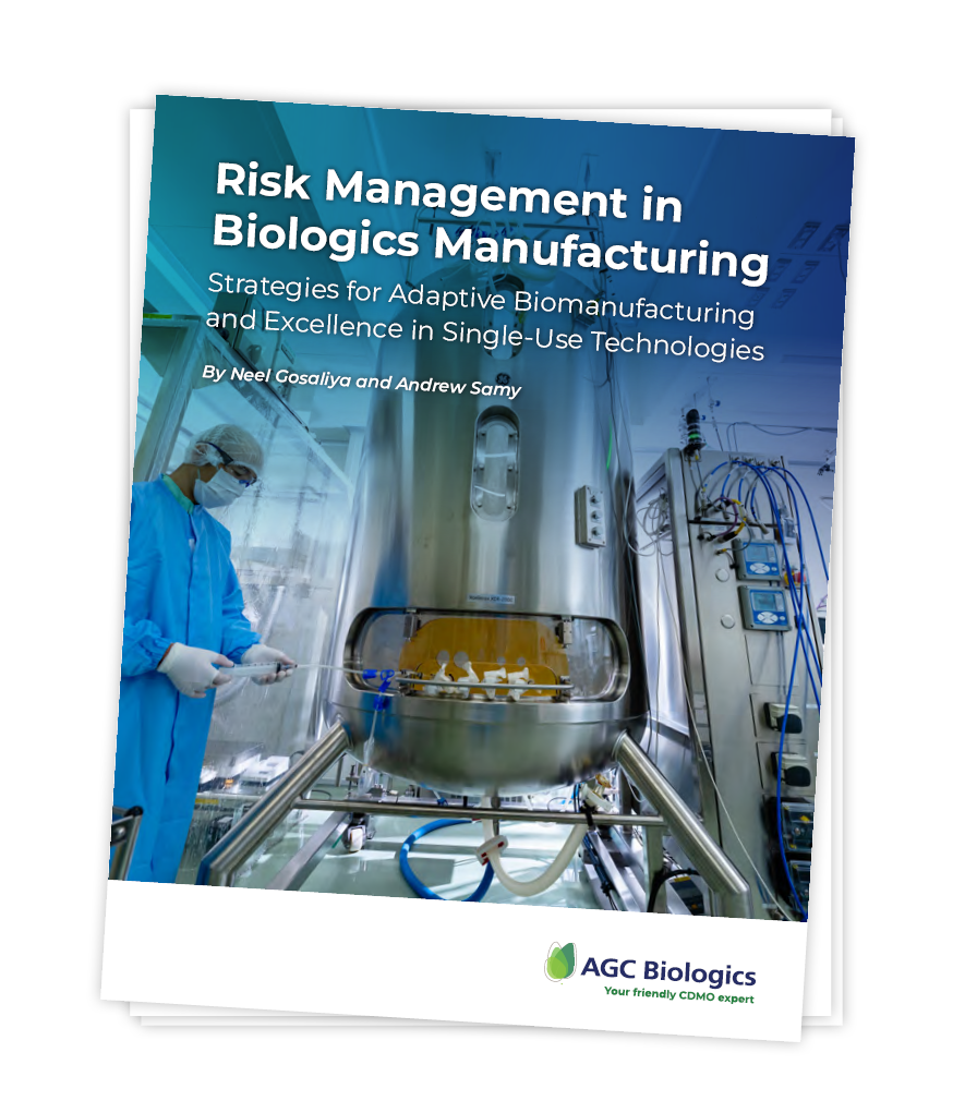 Single-use risk management strategies - download graphic