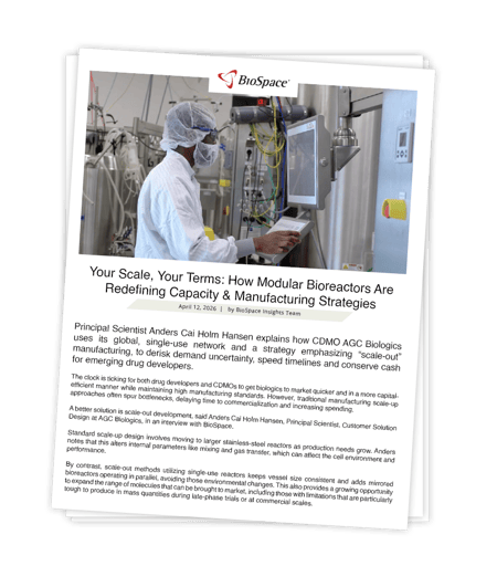 Your Scale Your Terms white paper - download graphic