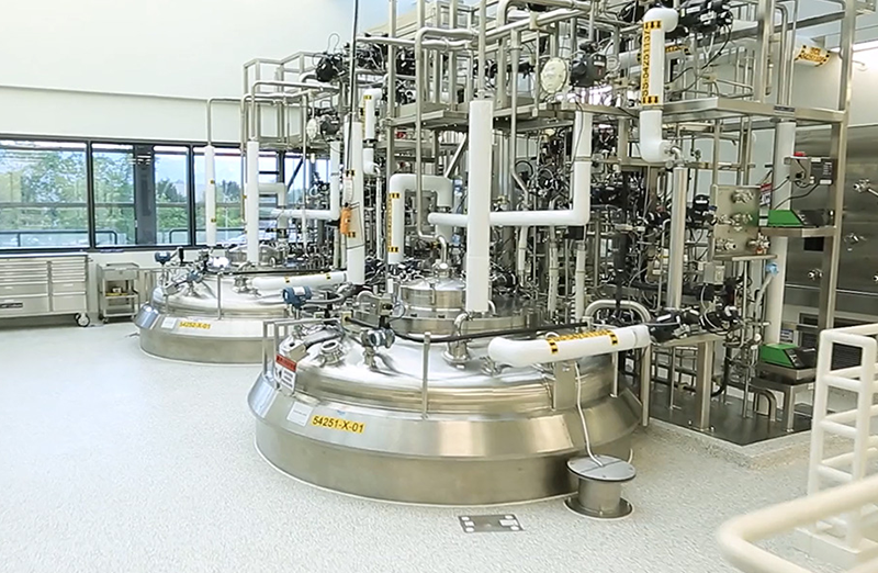 Mammalian Manufacturing | Cell Culture Development | Biopharmaceutical
