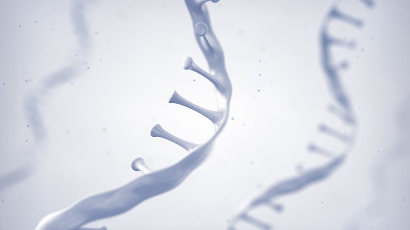 Shutterstock_1771403060