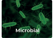 microbial
