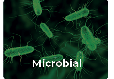 microbial