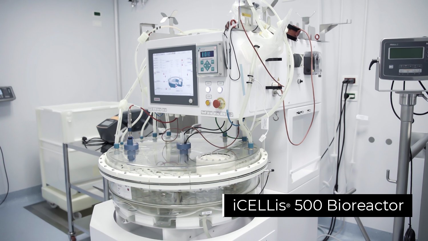iCELLis® 500 Bioreactor