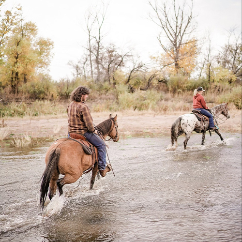 cmo-summit-eb-outdoors-horse