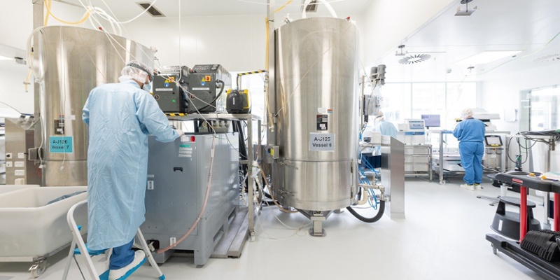 Case study for boosting yields from antibodies