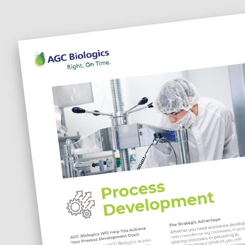 Process Development