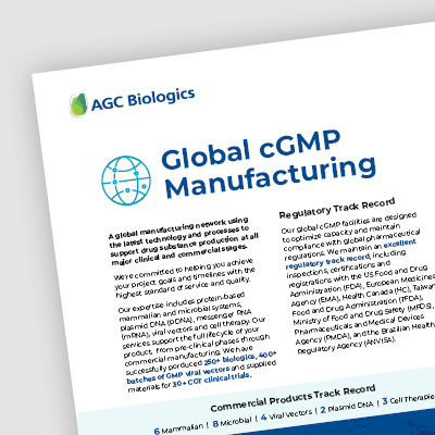 factsheet thumbnail global manufacturing
