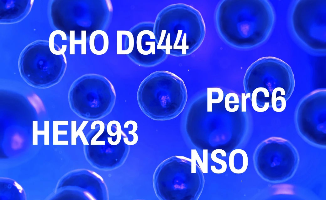 img-1-mammalian-cells