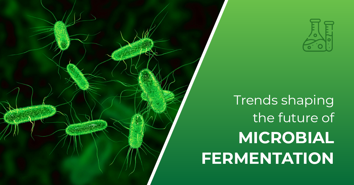 Bubbling Innovation: Dynamic Trends Shaping the Future of Microbial Fermentation
