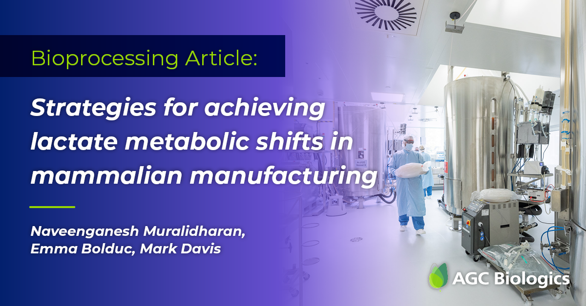  lactate metabolic shift , a critical step during upstream operations when producing mammalian cells. 