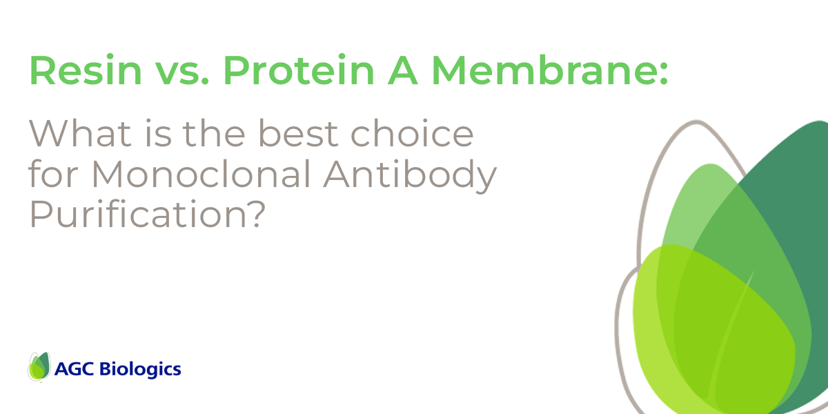Resin vs. Protein A Membrane for Monoclonal Antibody Purification