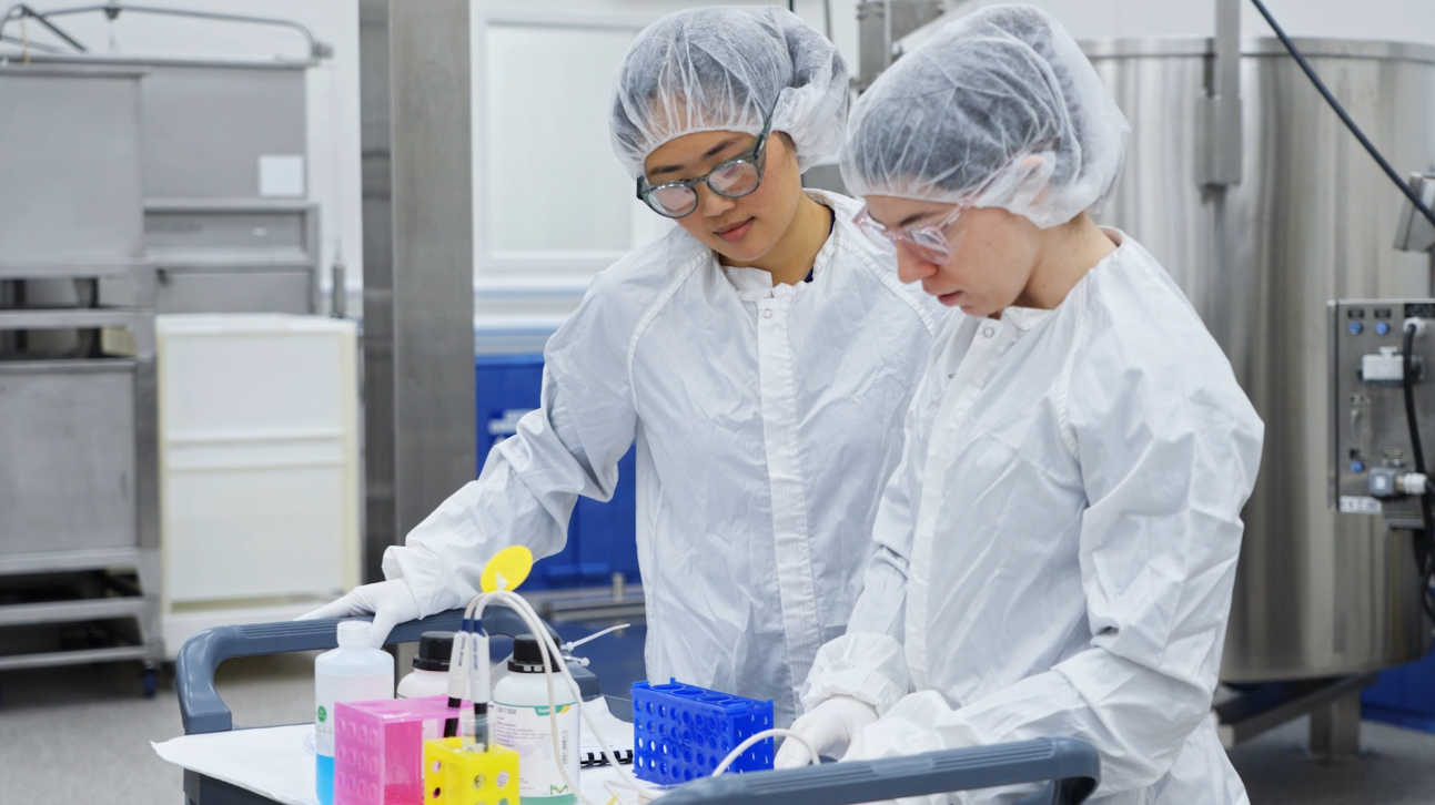 From Gene to Vial: How Cell Line and Manufacturing Decisions Shape the Path to IND