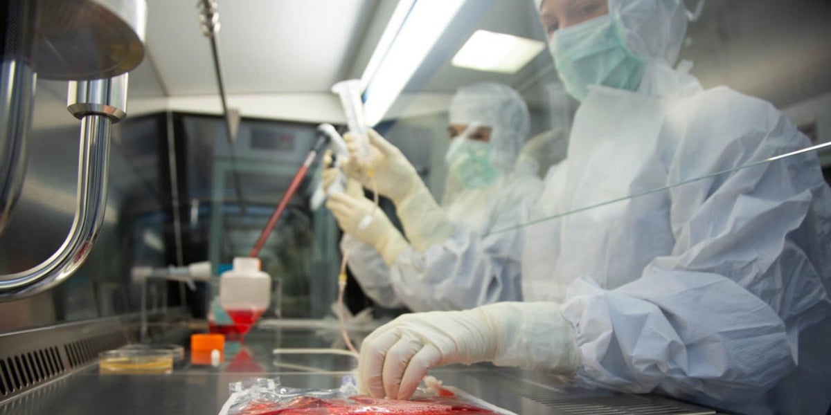 AGC Biologics Partners with Quell Therapeutics to Advance T-Regulatory Cell Therapies for Immune Disorders
