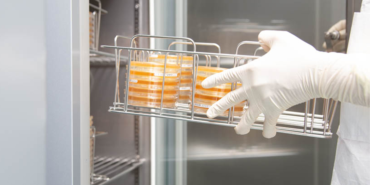 Trends Shaping the Future of Cell and Gene Therapy Manufacturing